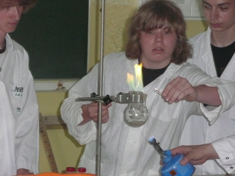 P1060757 [1024x768].JPG